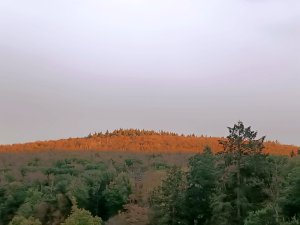 IMG-20260824-WA0007